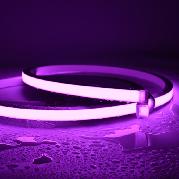 China LED Neon Flex Supplier